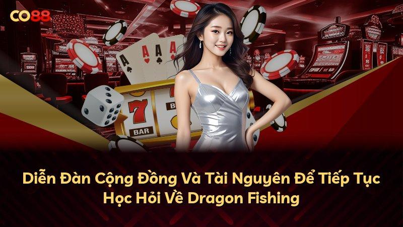 Diễn Đàn Cộng Đồng Và Tài Nguyên Để Tiếp Tục Học Hỏi Về Dragon Fishing