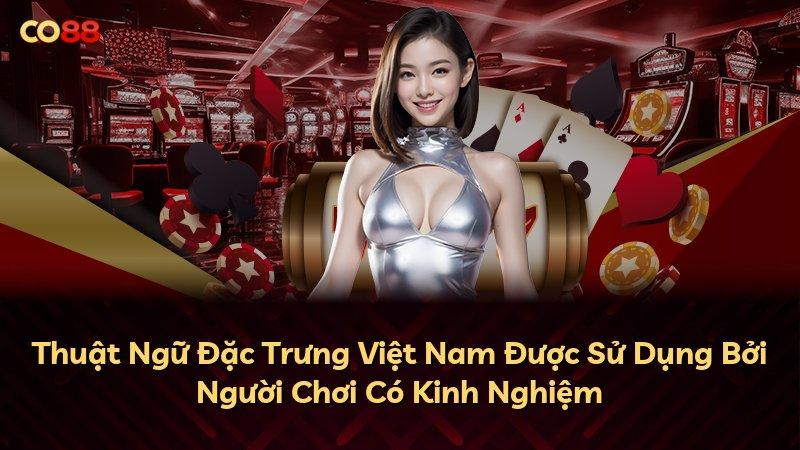 Thuật Ngữ Đặc Trưng Việt Nam Được Sử Dụng Bởi Người Chơi Có Kinh Nghiệm
