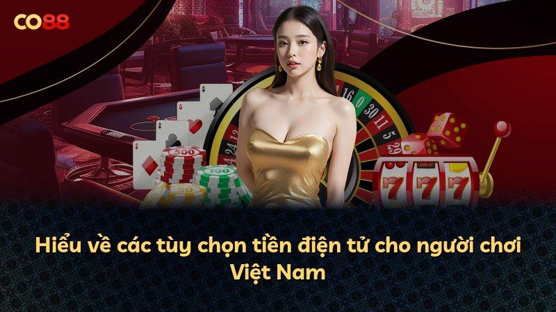 Hiểu về các tùy chọn tiền điện tử cho người chơi Việt Nam