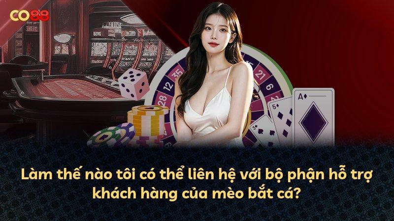Làm thế nào tôi có thể liên hệ với bộ phận hỗ trợ khách hàng của mèo bắt cá?