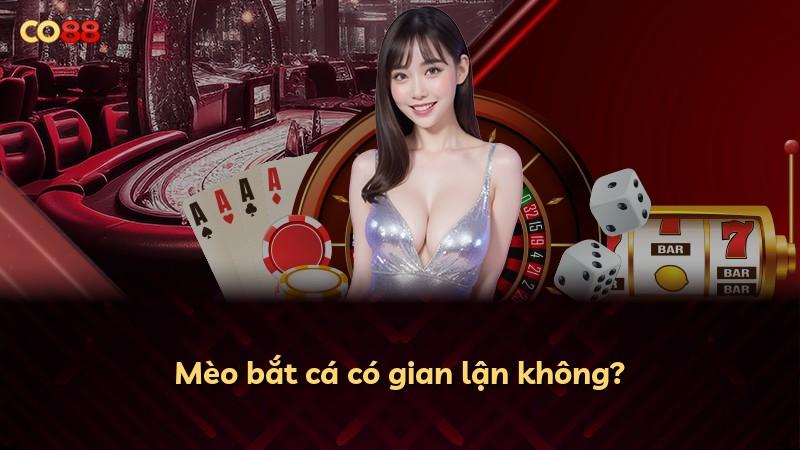 Mèo bắt cá có gian lận không?