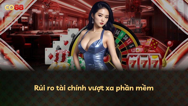 Rủi ro tài chính vượt xa phần mềm